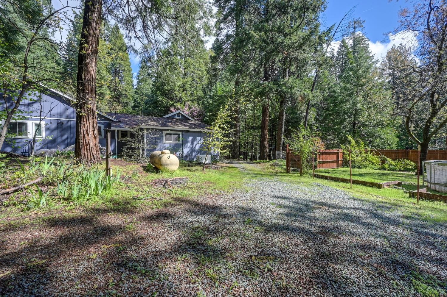 4580 Jenkinson Circle Pollock Pines, CA 95726 - Photo 64 of 78