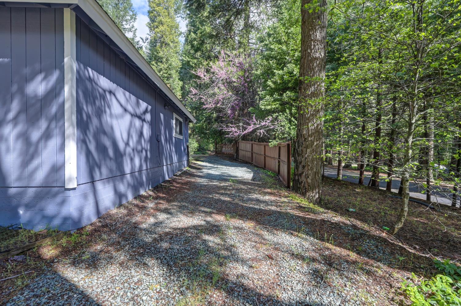 4580 Jenkinson Circle Pollock Pines, CA 95726 - Photo 66 of 78 a backyard of a house with large trees and wooden fence