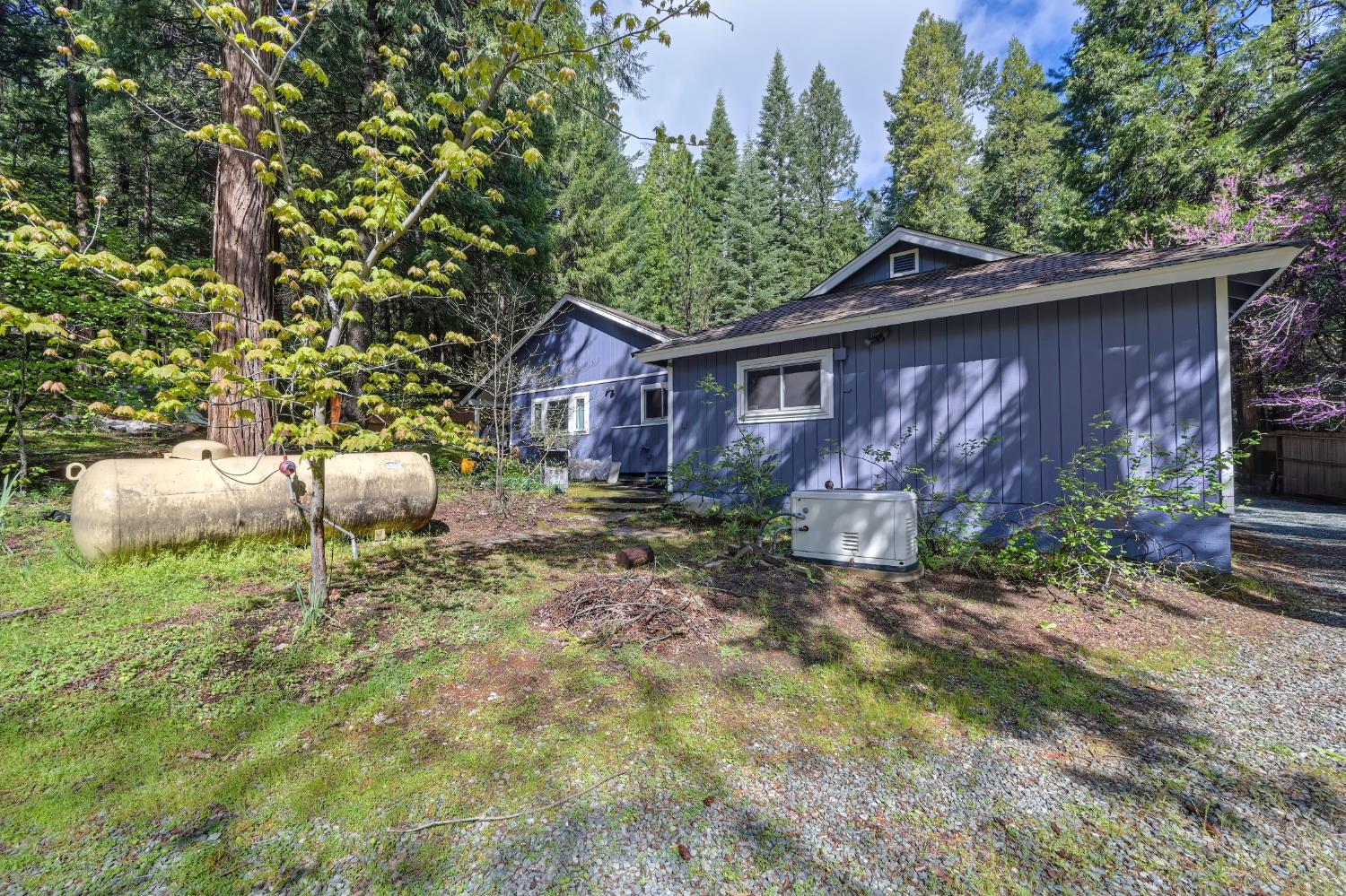 4580 Jenkinson Circle Pollock Pines, CA 95726 - Photo 70 of 78 a view of backyard of house with green space