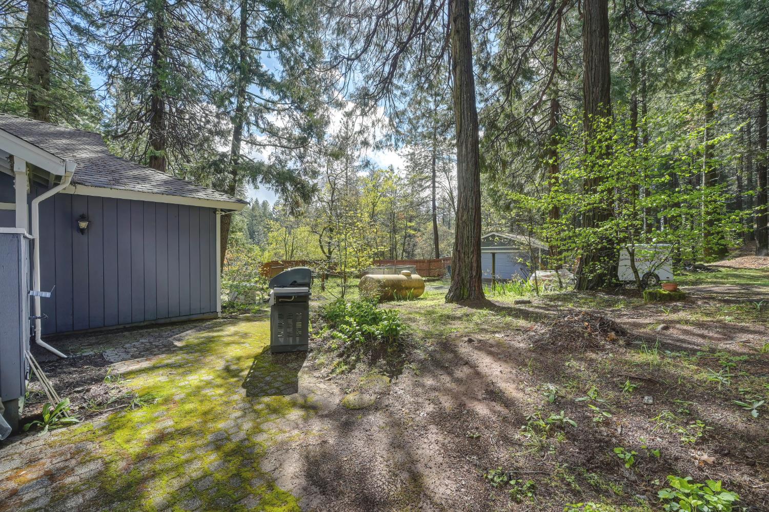 4580 Jenkinson Circle Pollock Pines, CA 95726 - Photo 71 of 78