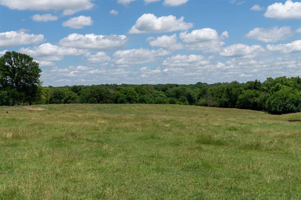 248 Shaffer Road Denison, TX 75021 - Photo 34 of 39