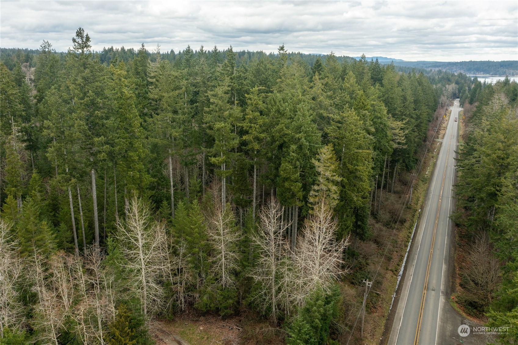 0 State Route 3 Allyn, WA 98524 - Photo 15 of 16 Gallery Image 15