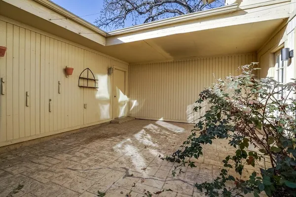 a view of a backyard