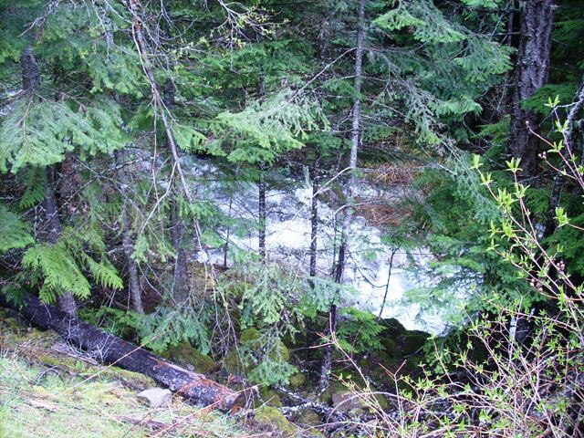 Nna Nna Beauty Bay Creek Road Coeur D'Alene, ID 83814 - Photo 1 of 1 Creek