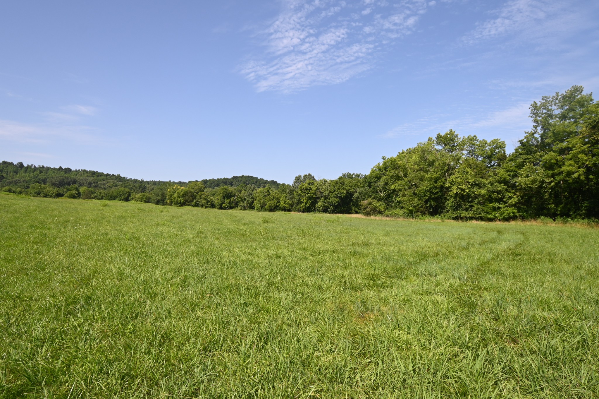 0 Culps Bend Road Clifton, TN 38425 - Photo 29 of 41