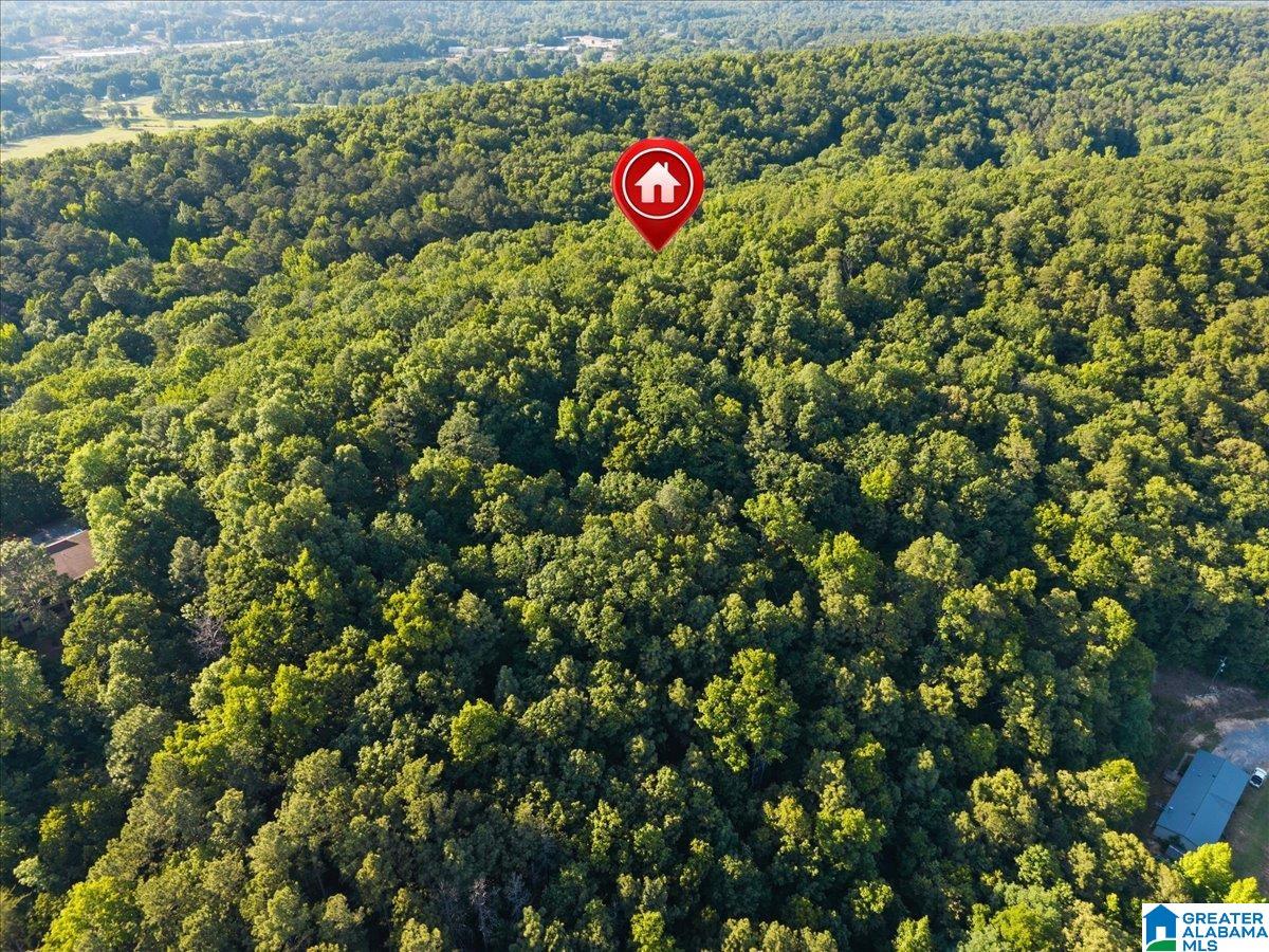 426 Oak Ridge Road Odenville, AL 35120 - Photo 24 of 27