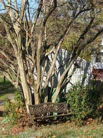 21 Lawrence Street Lyman, SC 29365 - Photo 5 of 25 Gallery Image 5