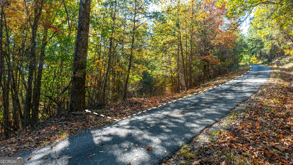 333 Song Bird Drive Cleveland, GA 30528 - Photo 13 of 24 a view of forest