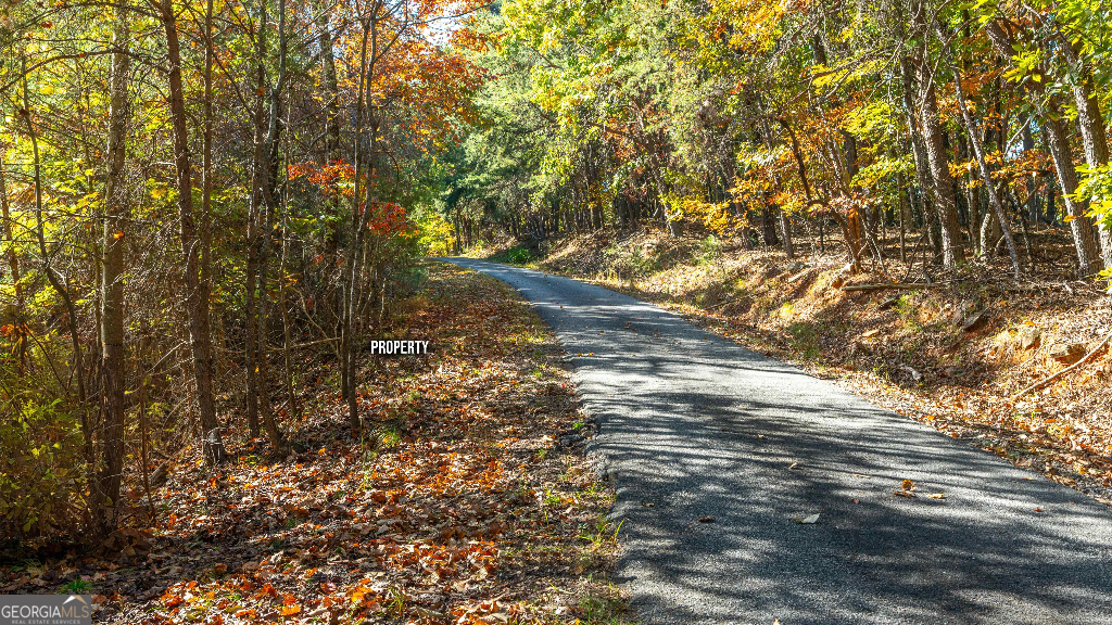 333 Song Bird Drive Cleveland, GA 30528 - Photo 14 of 24 a view of yard with trees
