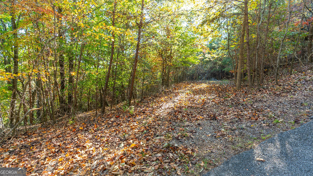 333 Song Bird Drive Cleveland, GA 30528 - Photo 15 of 24 a backyard of a house with lots of green space