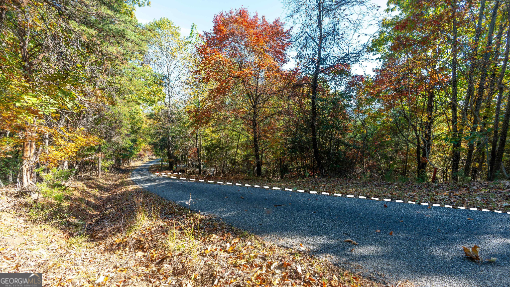 333 Song Bird Drive Cleveland, GA 30528 - Photo 16 of 24 a view of a yard with trees