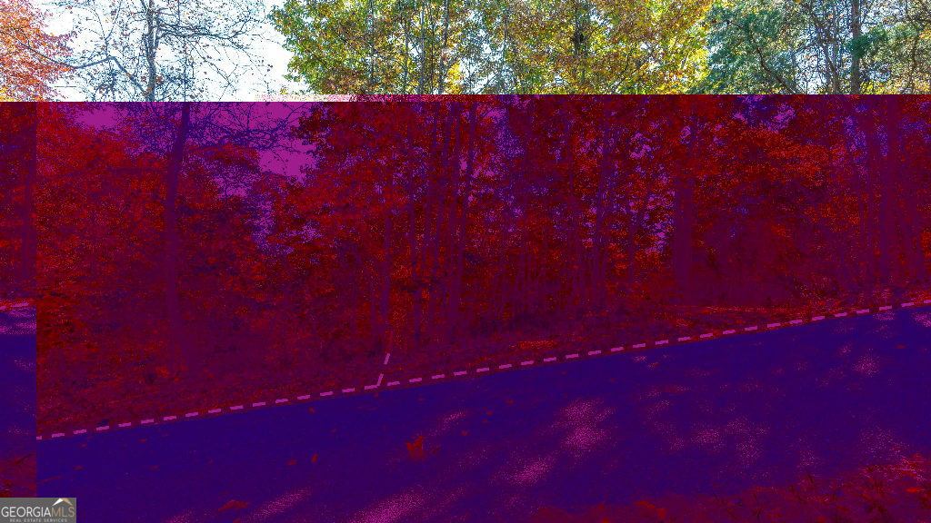 333 Song Bird Drive Cleveland, GA 30528 - Photo 17 of 24 a view of basketball court