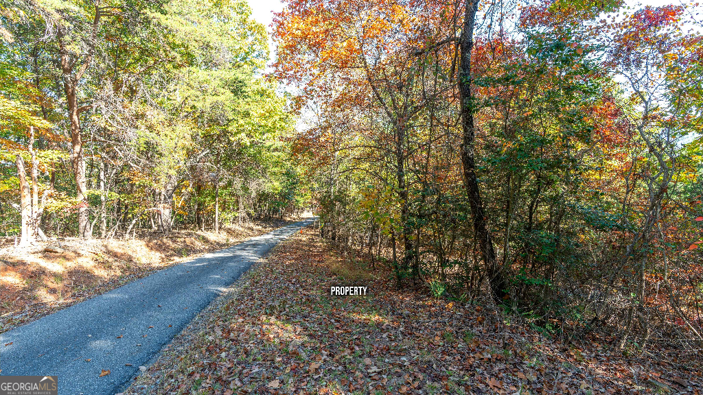 333 Song Bird Drive Cleveland, GA 30528 - Photo 18 of 24 a view of a yard with plants and large trees