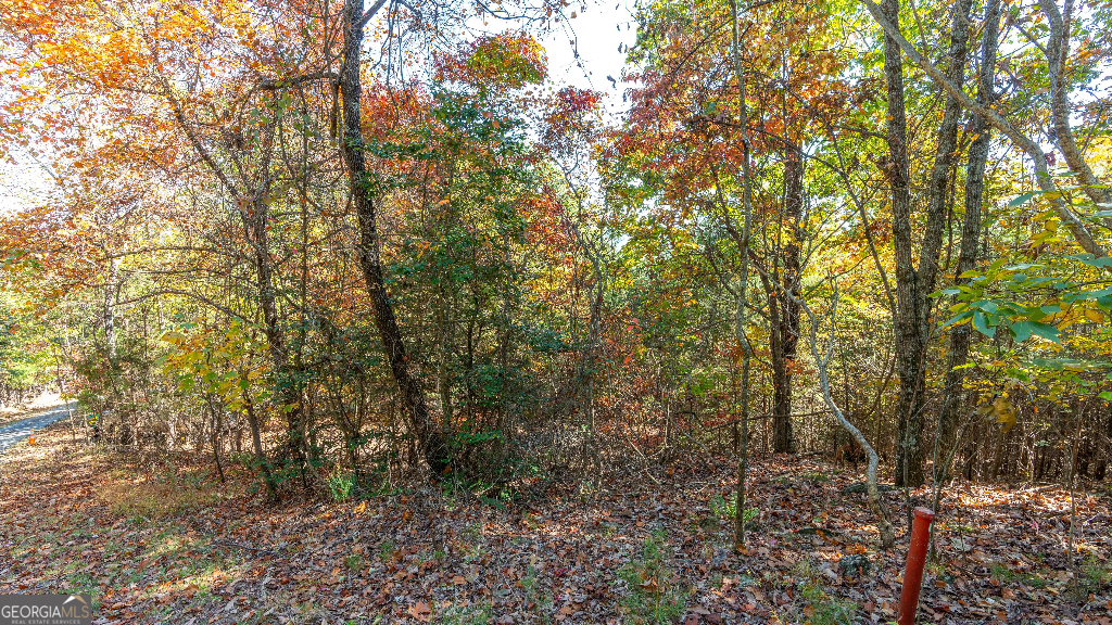333 Song Bird Drive Cleveland, GA 30528 - Photo 19 of 24 a view of a forest with trees in front of it