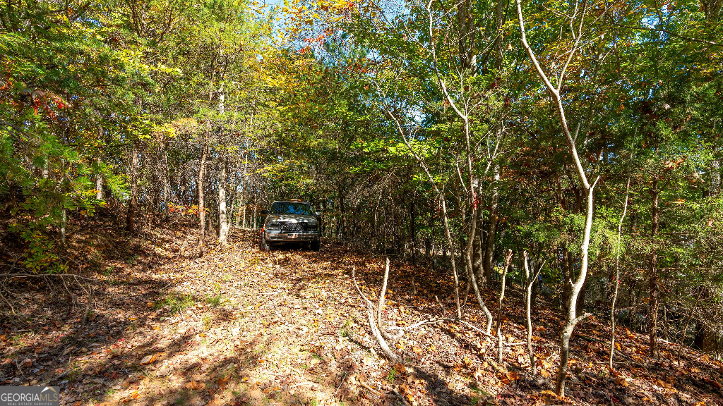 333 Song Bird Drive Cleveland, GA 30528 - Photo 20 of 24 a view of house with backyard