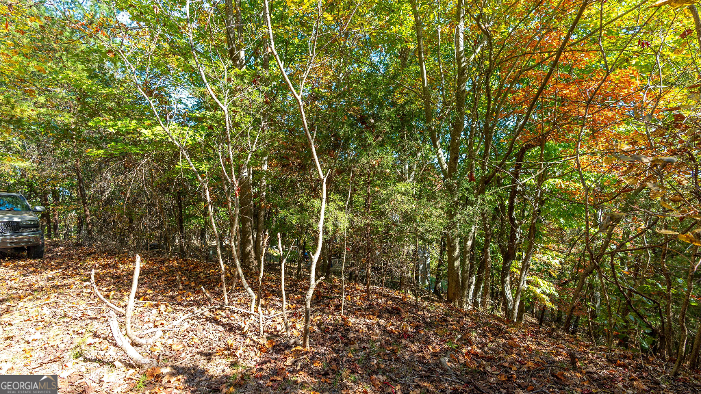333 Song Bird Drive Cleveland, GA 30528 - Photo 21 of 24 a view of a yard