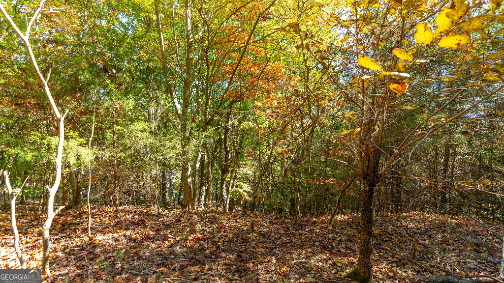 333 Song Bird Drive Cleveland, GA 30528 - Photo 22 of 24 a view of a yard