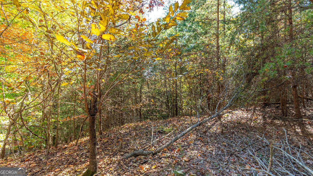 333 Song Bird Drive Cleveland, GA 30528 - Photo 23 of 24 a view of a yard with a tree