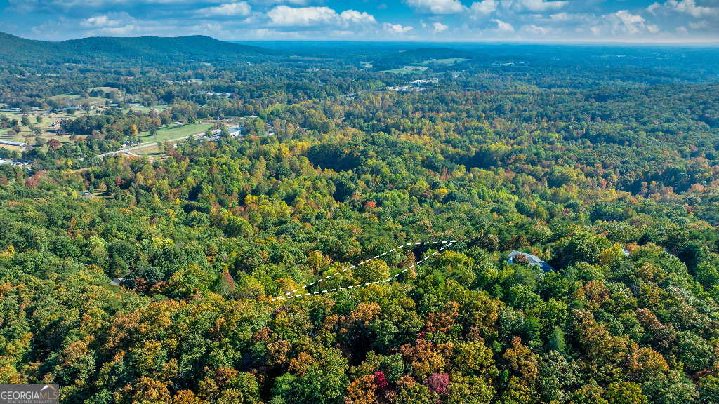 333 Song Bird Drive Cleveland, GA 30528 - Photo 3 of 24 a view of a field of grass and trees