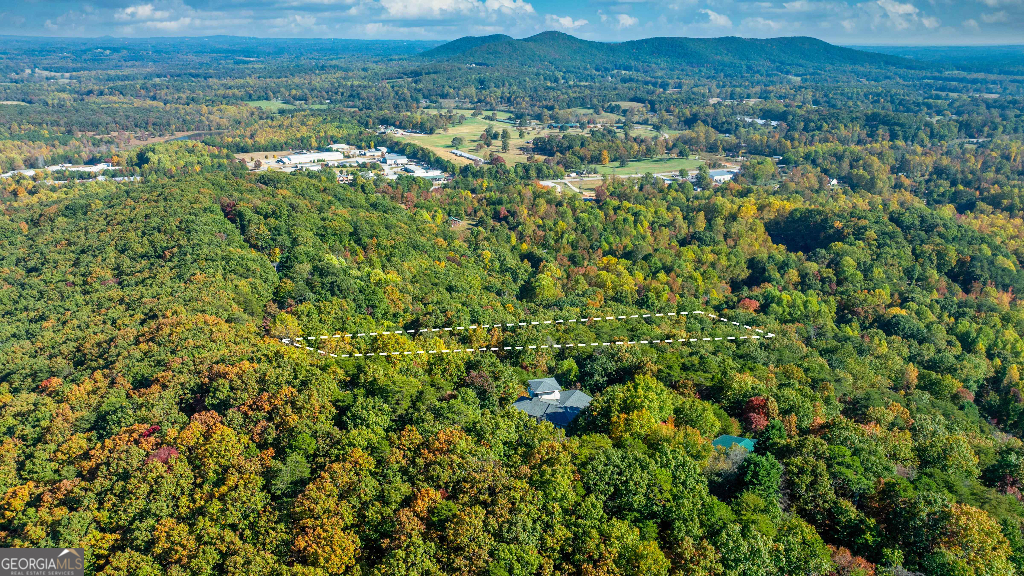 333 Song Bird Drive Cleveland, GA 30528 - Photo 4 of 24 a view of a green field with lots of bushes