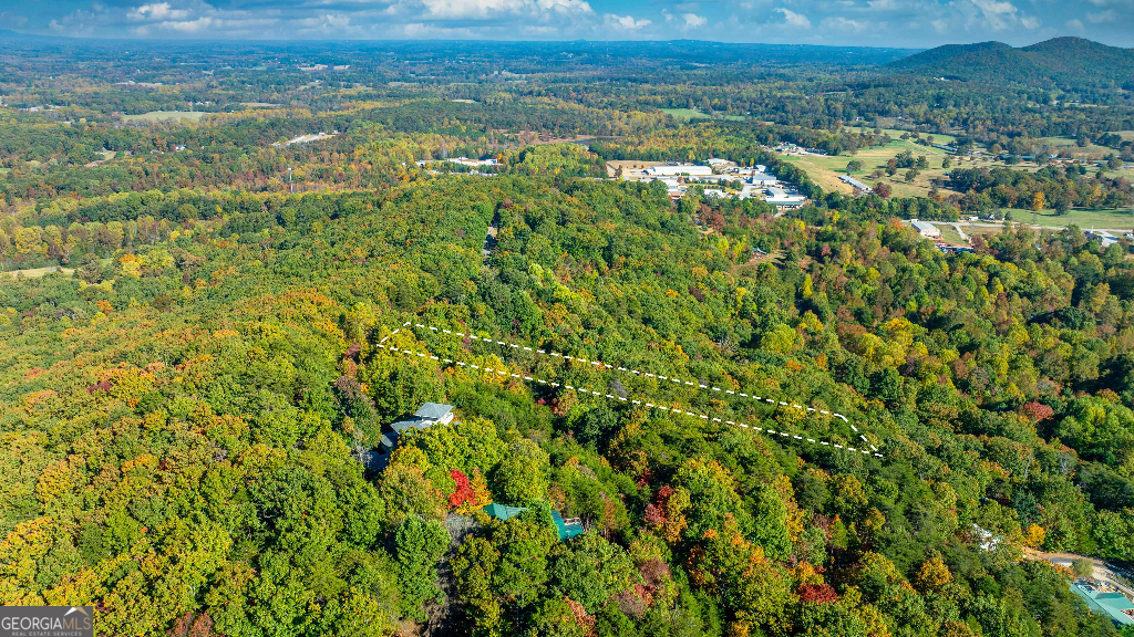 333 Song Bird Drive Cleveland, GA 30528 - Photo 5 of 24 a view of a city with lush green forest