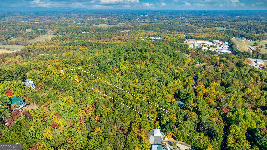 333 Song Bird Drive Cleveland, GA 30528 - Photo 6 of 24