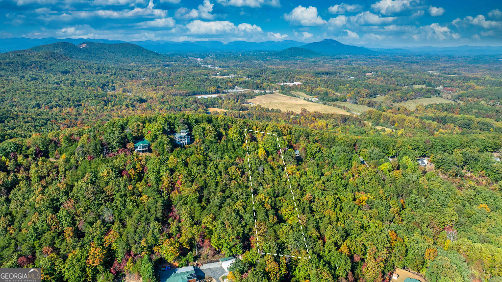 333 Song Bird Drive Cleveland, GA 30528 - Photo 7 of 24 a view of a yard with an outdoor space