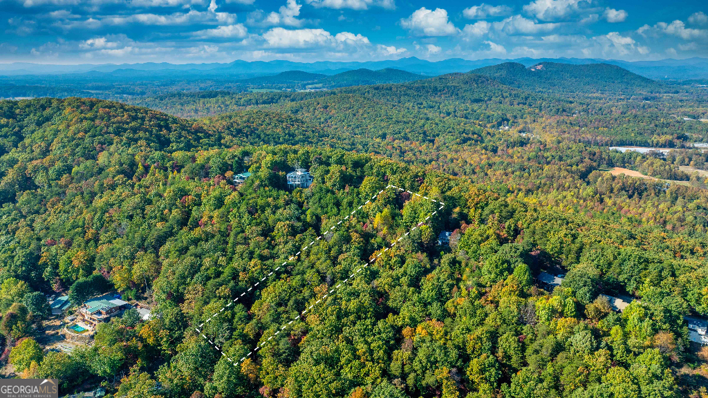 333 Song Bird Drive Cleveland, GA 30528 - Photo 8 of 24