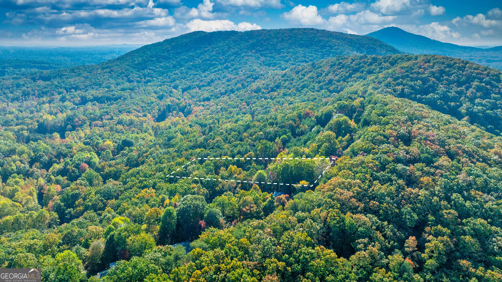 333 Song Bird Drive Cleveland, GA 30528 - Photo 10 of 24 a view of a big yard with large trees