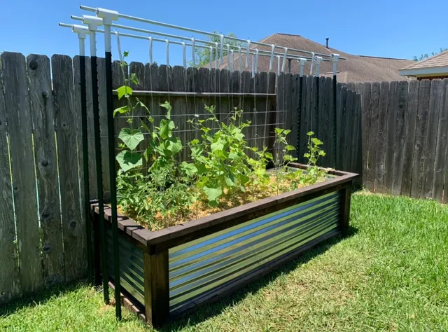 a wooden fence covered with tall trees