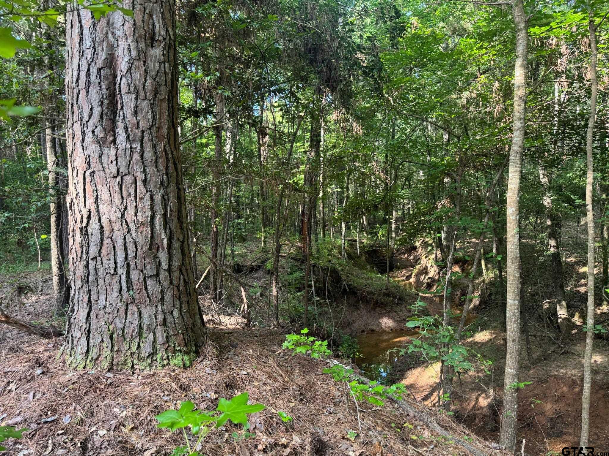 3 B Cr Rusk, TX 75785 - Photo 2 of 6