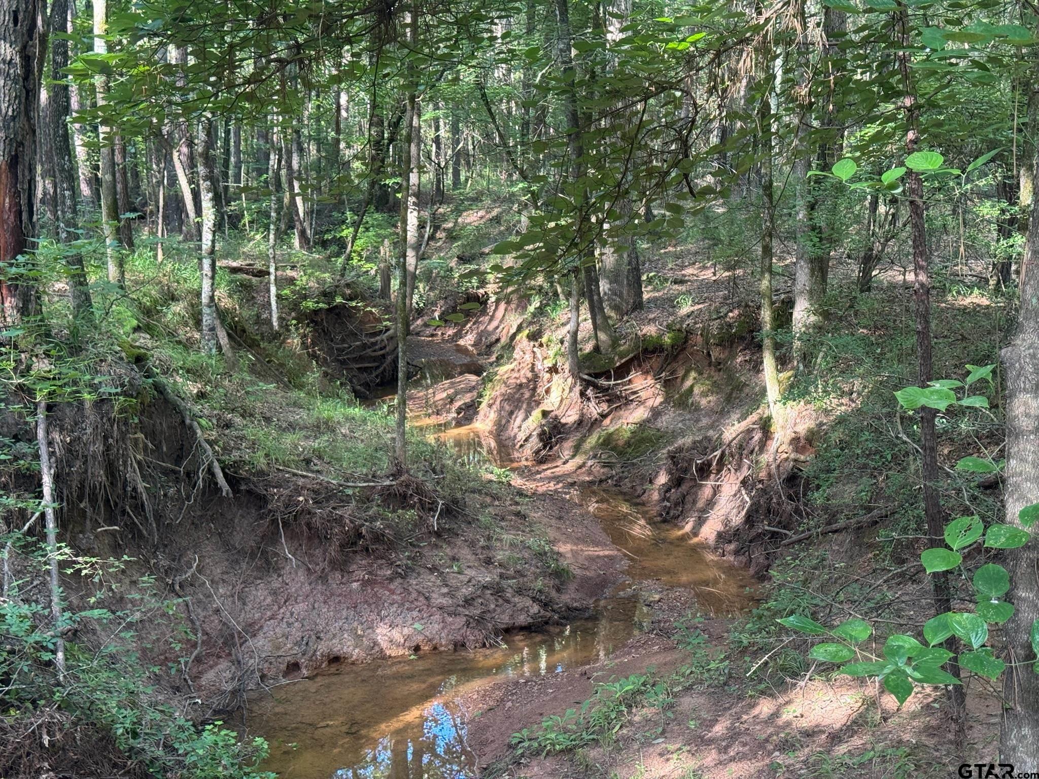 3 B Cr Rusk, TX 75785 - Photo 3 of 6