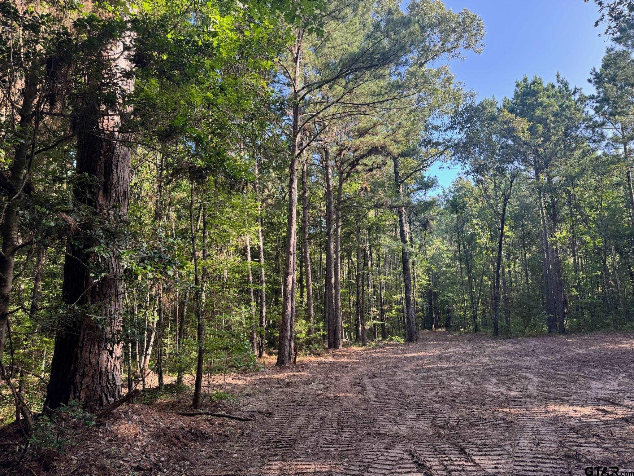 3 B Cr Rusk, TX 75785 - Photo 5 of 6