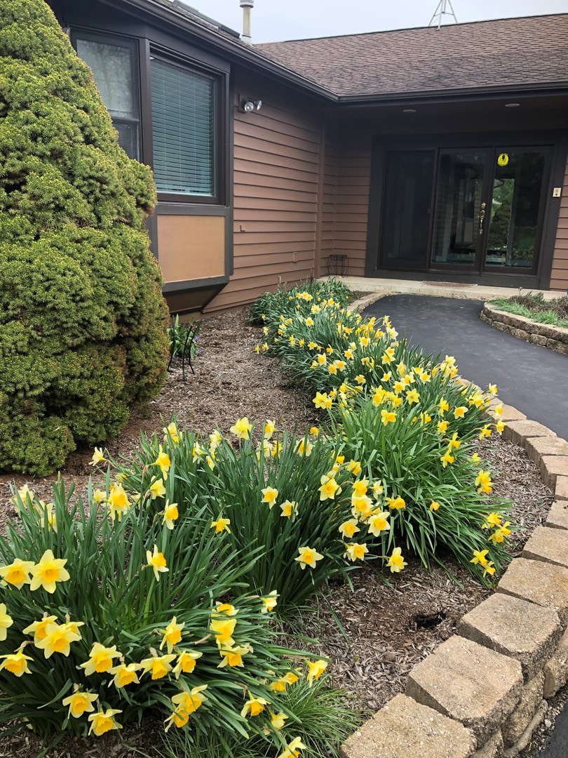 24717 West Caine Road Ingleside, IL 60041 - Photo 20 of 40 a bunch of flowers in front of the house