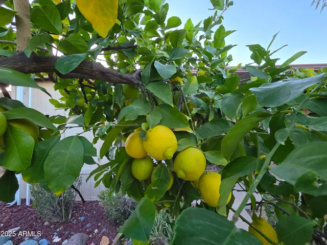 $59,900 | 2233 East Behrend Drive, Unit 152, Phoenix, AZ 85024