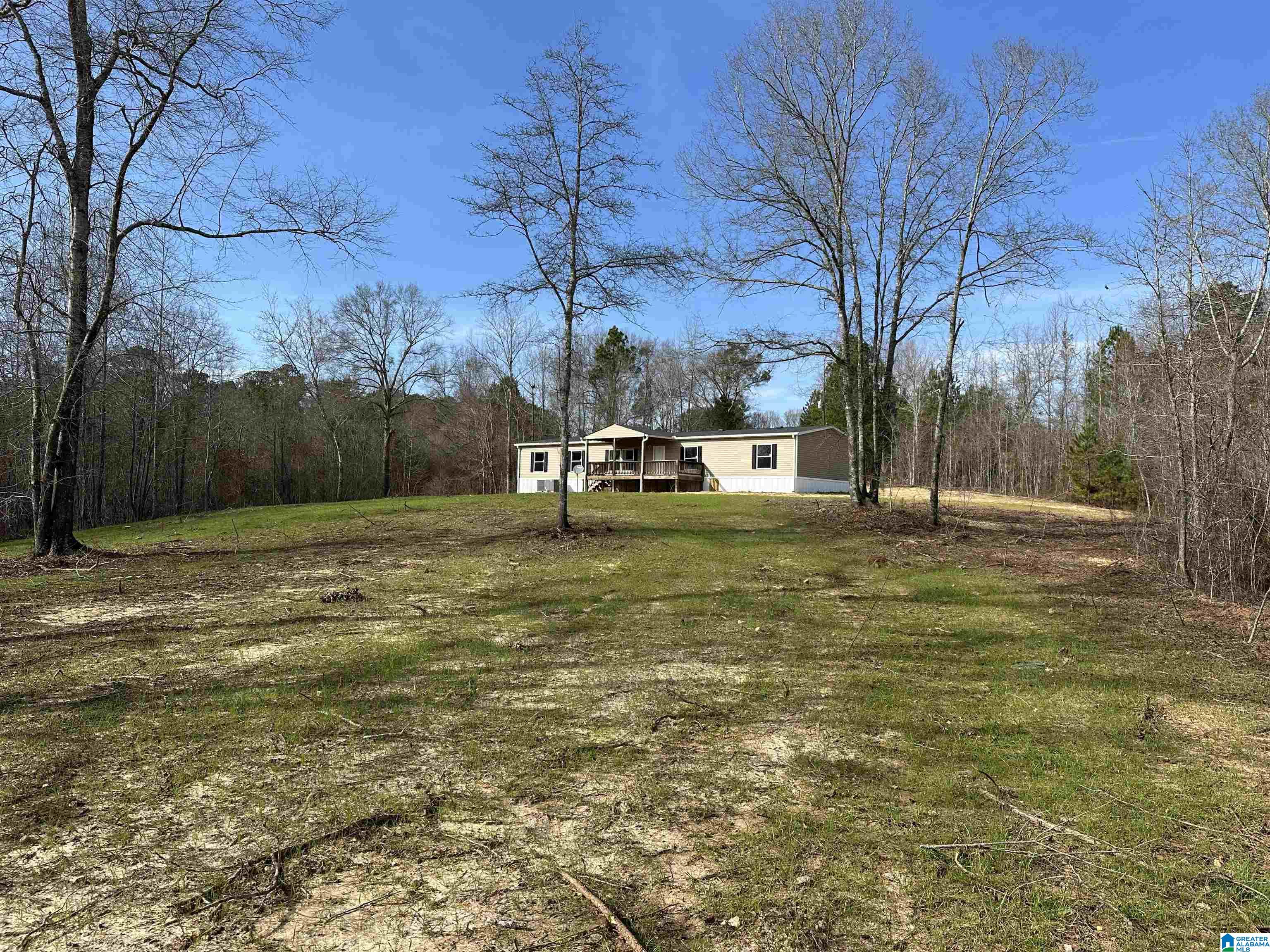 6640 County Road 79 Daviston, AL 36256 - Photo 1 of 20
