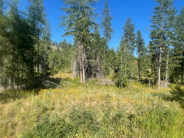 Nkn Bead Lake Road Oldtown, ID 83822 - Photo 3 of 13