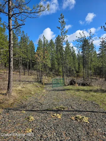 $99,000 | Nna Shady Lane, Desmet, ID 83824