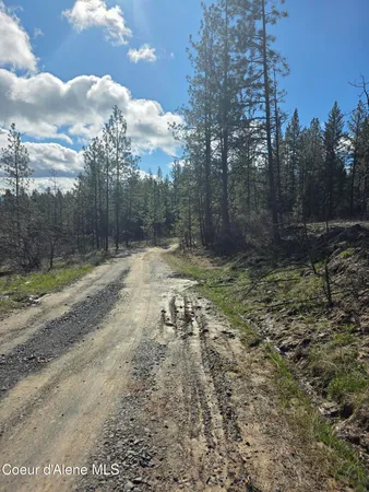 $99,000 | Nna Shady Lane, Desmet, ID 83824