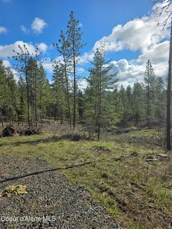 $99,000 | Nna Shady Lane, Desmet, ID 83824