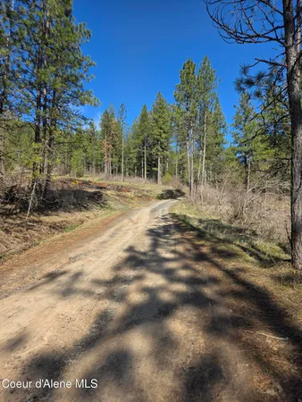 $99,000 | Nna Shady Lane, Desmet, ID 83824