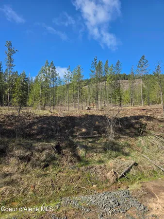 $99,000 | Nna Shady Lane, Desmet, ID 83824