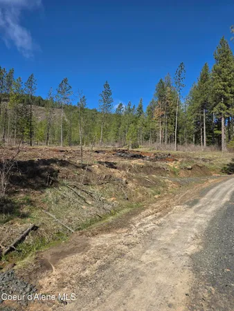 $99,000 | Nna Shady Lane, Desmet, ID 83824