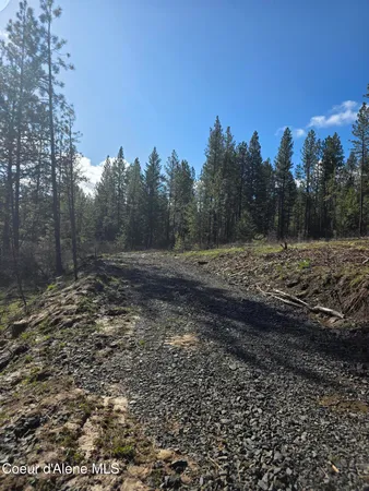 $99,000 | Nna Shady Lane, Desmet, ID 83824