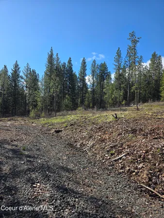 $99,000 | Nna Shady Lane, Desmet, ID 83824