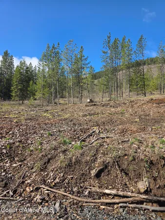 $99,000 | Nna Shady Lane, Desmet, ID 83824