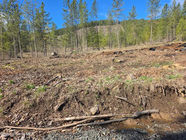 $99,000 | Nna Shady Lane, Desmet, ID 83824