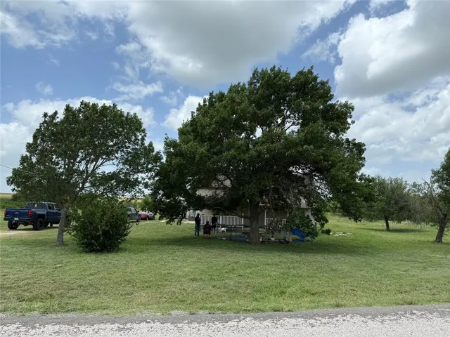 a view of a park with large trees