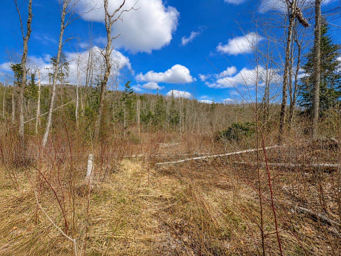 2900 Old Duck Pond Road Sheffield, VT 05866 - Photo 5 of 12