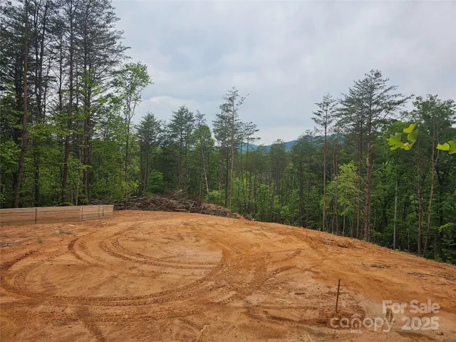 a view of backyard with green space